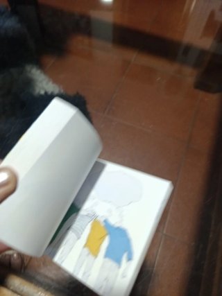 Flipbook Tormenta de Ideas