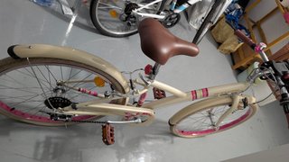 Bicicleta Infantil B'Twin Poply 500 24
