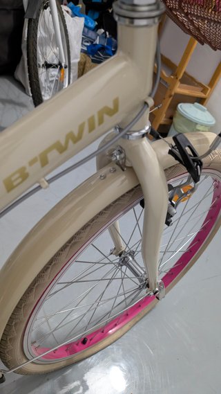 Bicicleta Infantil B'Twin Poply 500 24