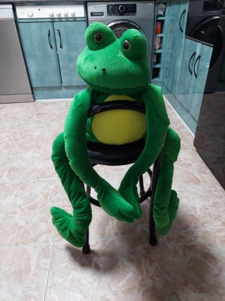 Peluche Rana Abrazo Verde