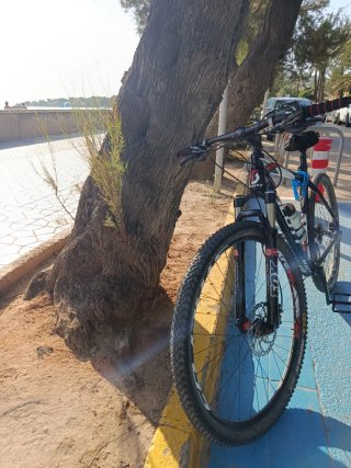 Bicicleta MTB Scott Carbono