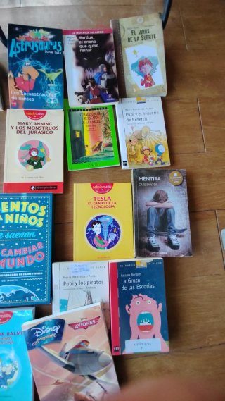 Lote de 25 libros infantiles y juveniles