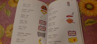 Dizionario inglese illustrato