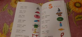 Dizionario inglese illustrato
