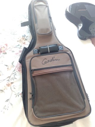 Guitarra Godin LG Signature AA Seymour Duncan
