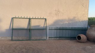 Puerta y vallas metálicas verdes