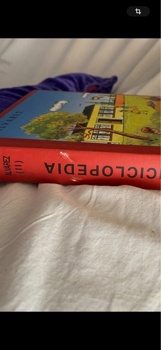 Libro facsimil