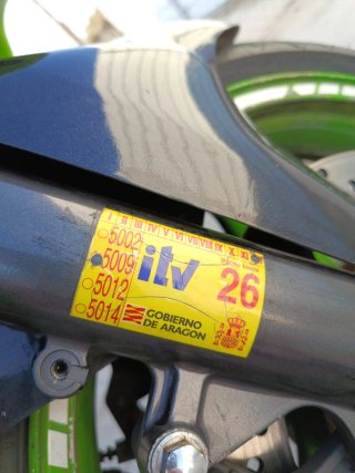 Kawasaki Ninja ZX6R Verde/Morado