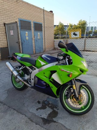 Kawasaki Ninja ZX6R Verde/Morado