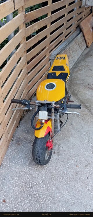 Minimoto Replica Blata Amarilla