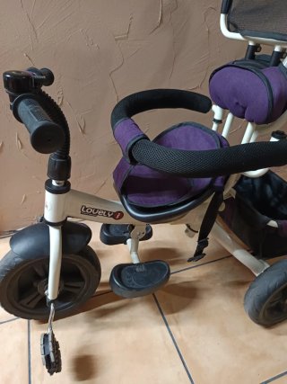 Triciclo evolutivo violeta
