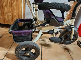 Triciclo evolutivo violeta