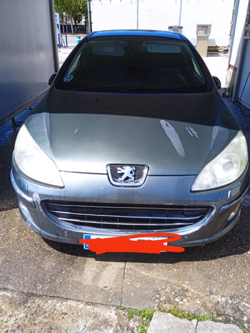 Peugeot 407 - foto 1