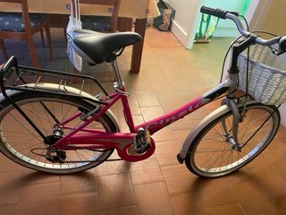 Bicicleta rosa con cesta y portabultos