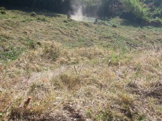 servicios jardineria y desbroce parcelas
