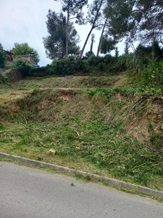 servicios jardineria y desbroce parcelas