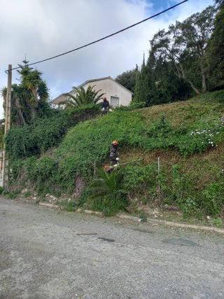 servicios jardineria y desbroce parcelas