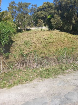 servicios jardineria y desbroce parcelas