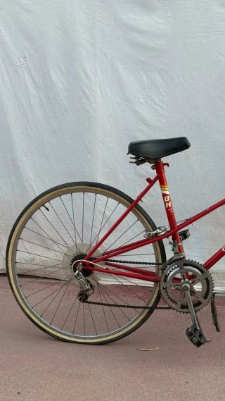 Bicicleta BH Gagela Ligera