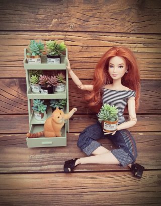 Estantería y plantas miniatura