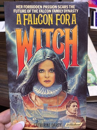 Libro A falcon for a witch