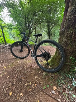 Bici Montaña Mondraker Chrono 29