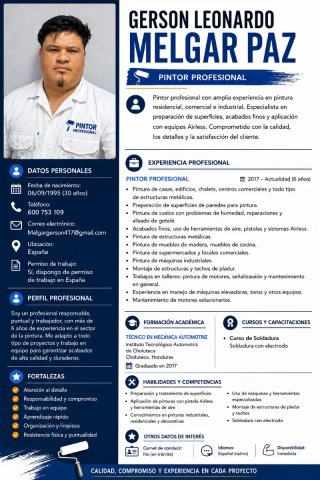 Pintor Profesional con Experiencia