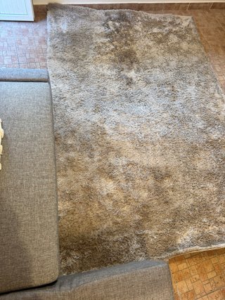Alfombra Grande Beige y Marrón 200x300
