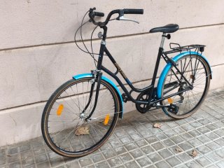 Bicicleta paseo