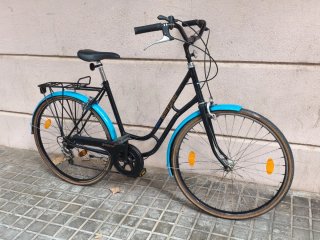 Bicicleta paseo