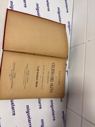 Antiguo y raro libro del cultivo del olivo