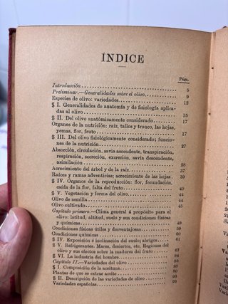 Antiguo y raro libro del cultivo del olivo