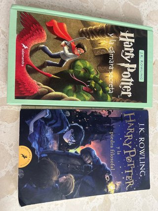 Harry Potter la cámara secreta la piedra filosofal