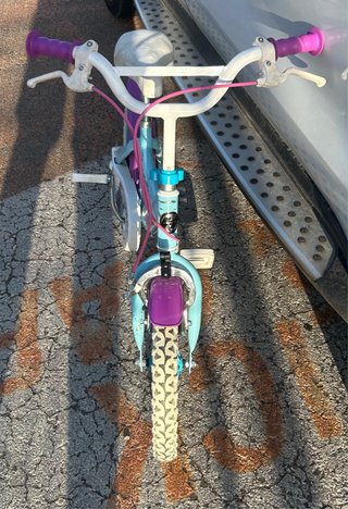 Bicicleta Frozen 14 pulgadas