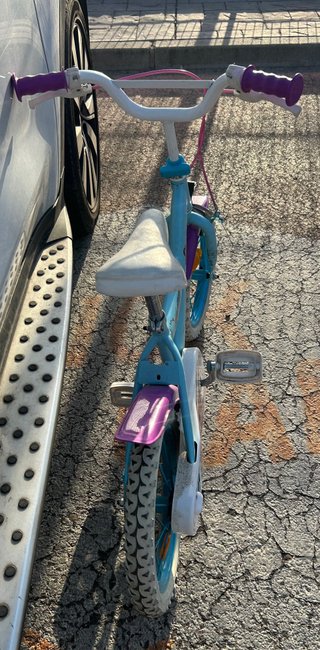 Bicicleta Frozen 14 pulgadas