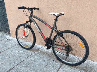 Bicicleta xl