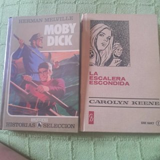 Libros antiguos. Moby Dick y La Escalera Escondida