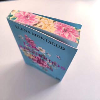 Libro Los recuerdos que fuimos - Elena Montagud