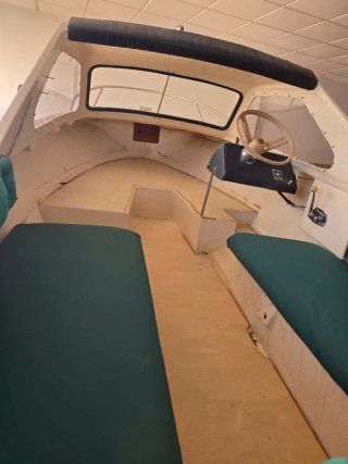 Barco Tylor 49 con remolque