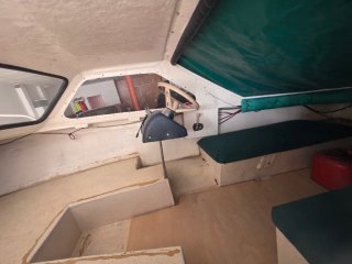Barco Tylor 49 con remolque