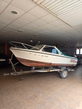Barco Tylor 49 con remolque