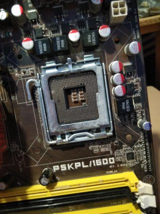 Placa Base Asus PSKPL/1600