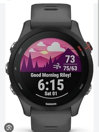 Garmin Forerunner 255 Negro/Gris