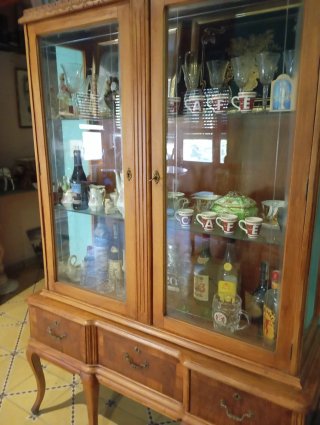 Vitrina de madera y cristal