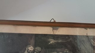 Stampa d'epoca Samson und Dalila Solomon J. Solomo