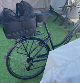 Bicicleta Romet Gazela 1 + Cesta Mascota