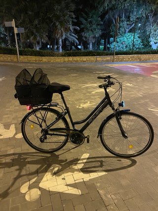Bicicleta Romet Gazela 1 + Cesta Mascota