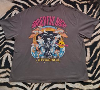Camiseta gris manga corta oversize Shein L gráfico