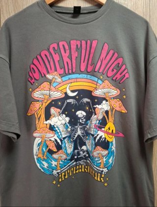 Camiseta gris manga corta oversize Shein L gráfico