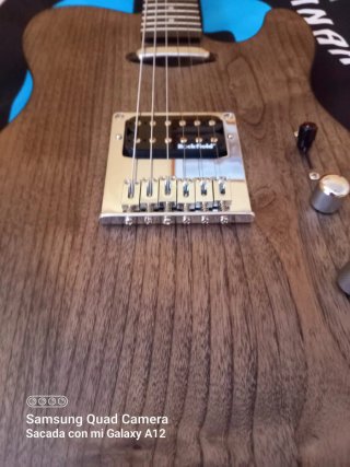 Guitarra Eléctrica Michael Kelly Op 54